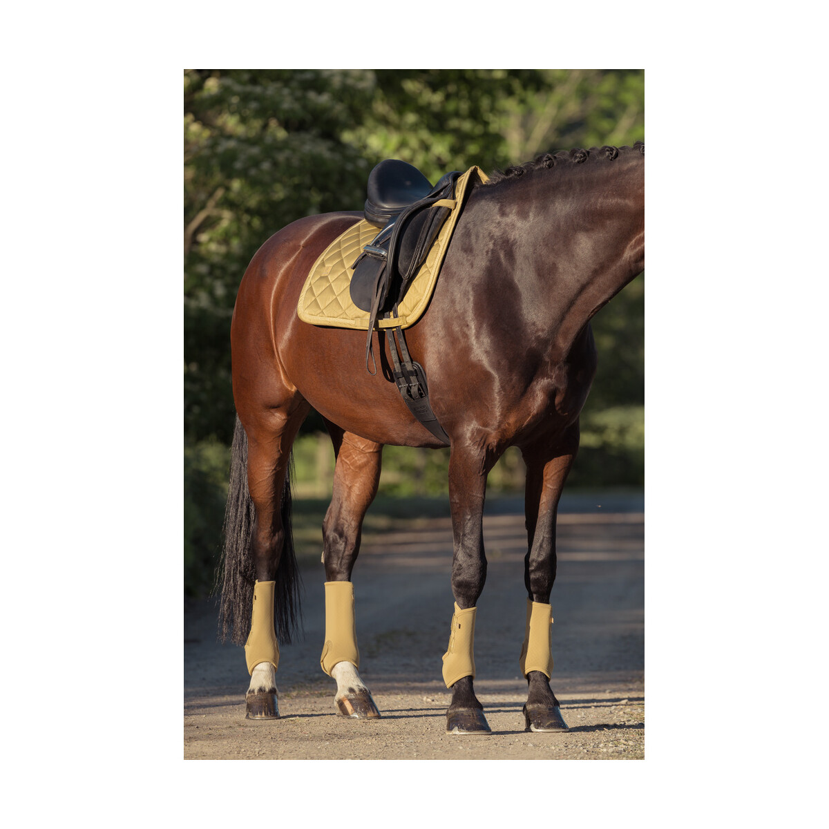 Eskadron Heritage Schabracke SATIN JEWEL